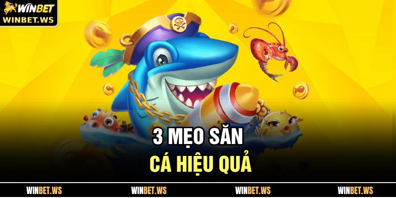 Bắn Cá Tiên Cá WINBET – Săn Thưởng Cực Khủng Mỗi Ngày 4 3 mẹo săn cá hiệu quả