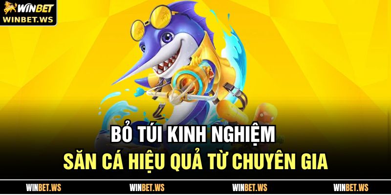 Bỏ túi kinh nghiệm săn cá hiệu quả từ chuyên gia