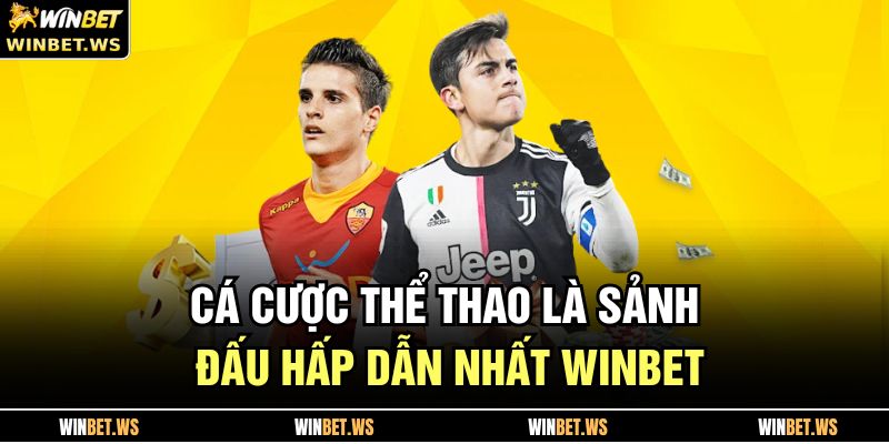 Cá cược thể thao là sảnh đấu hấp dẫn nhất WINBET