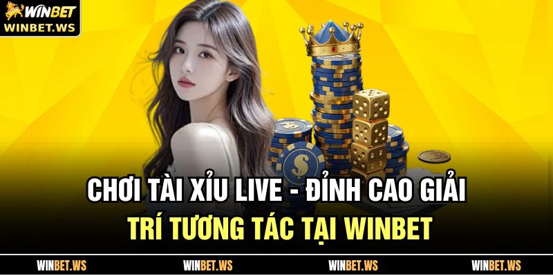 Chơi Tài Xỉu Live - Đỉnh Cao Giải Trí Tương Tác Tại WINBET 5 Chơi Tài Xỉu Live