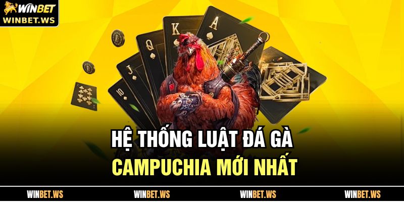 Hệ thống luật đá gà Campuchia mới nhất