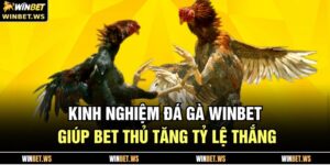 Kinh Nghiệm Đá Gà