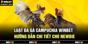Luật Đá Gà Campuchia