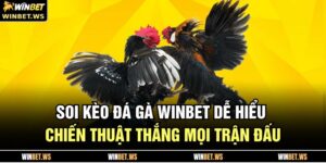 Soi Kèo Đá Gà WINBET