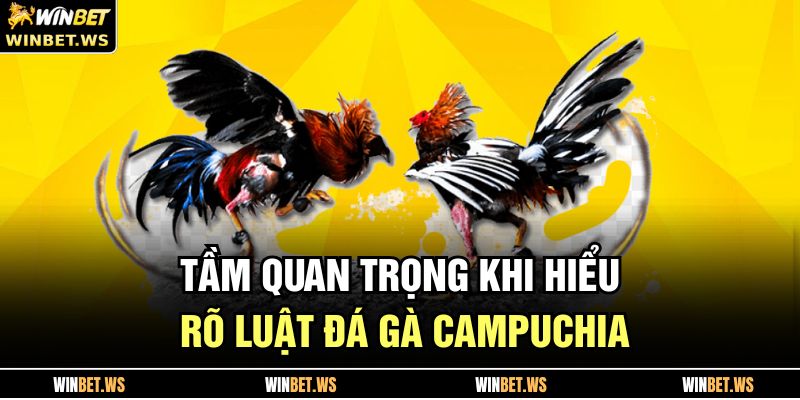 Tầm quan trọng khi hiểu rõ luật đá gà Campuchia