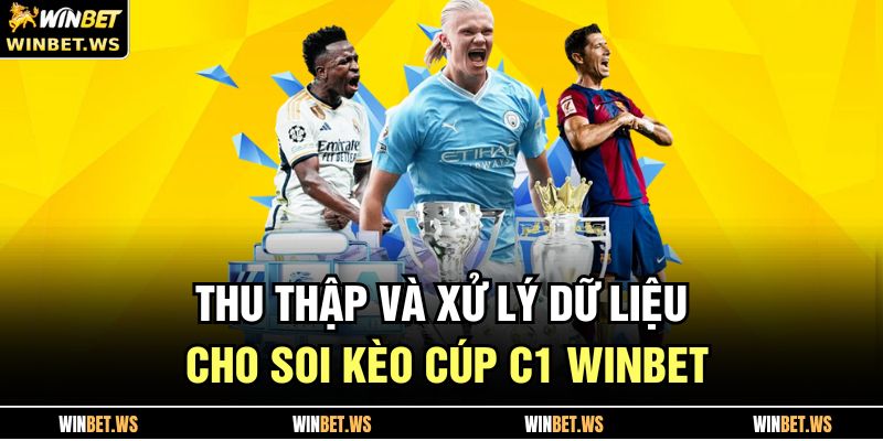 Thu thập và xử lý dữ liệu cho soi kèo cúp c1 WINBET