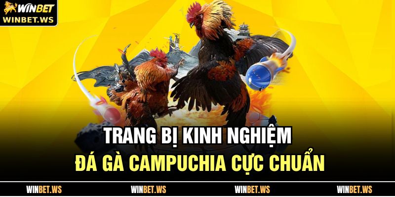 Trang bị kinh nghiệm đá gà Campuchia cực chuẩn